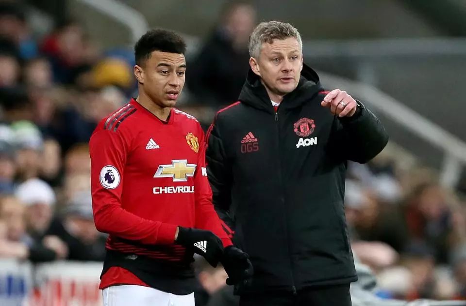 跆拳道联合 跆拳道联合